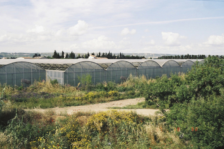 Pierre Novion - Paris Marseille - 250