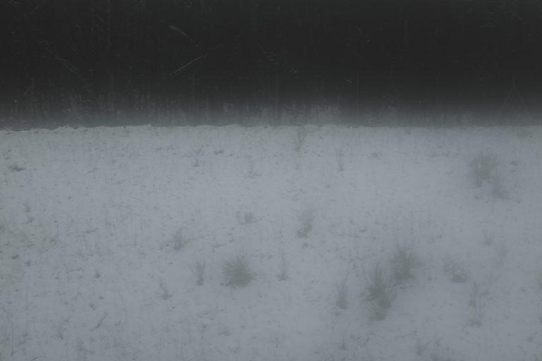 Pierre Novion - Sommeil d'hiver - 11